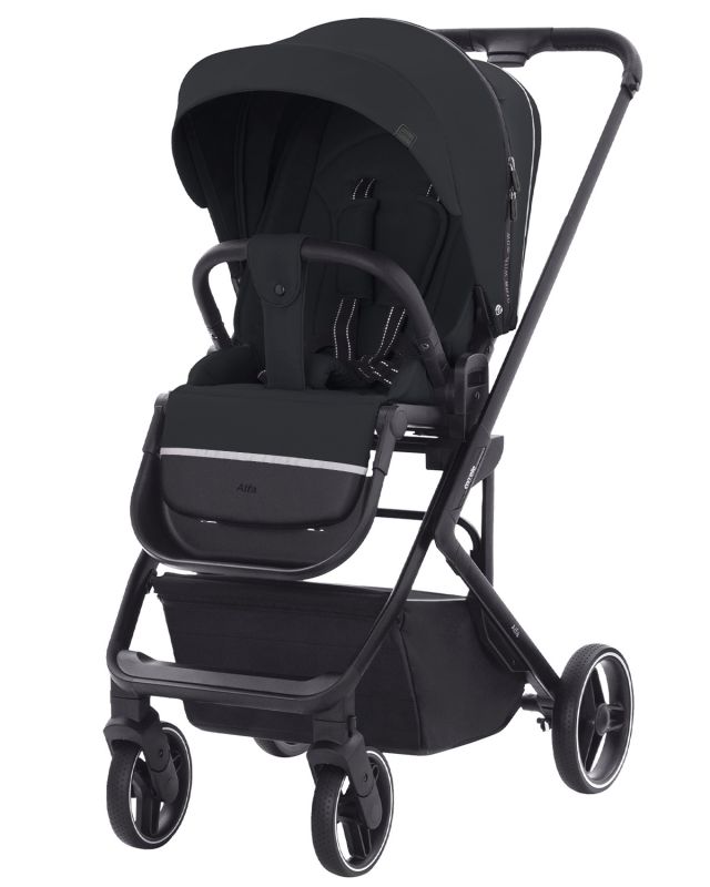 Коляска прогулочная CARRELLO Alfa CRL-5508 Night Grey