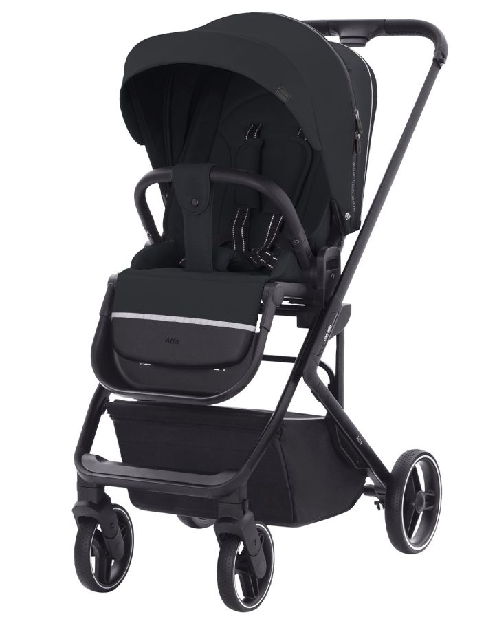 Коляска прогулочная CARRELLO Alfa CRL-5508 Night Grey
