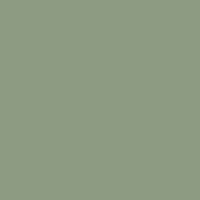 Коляска прогулочная Carrello Bravo SL CRL-5520 Fruit Green