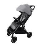 Прогулянкова коляска CARRELLO Delta Flint Grey