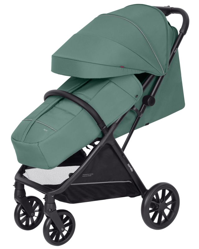 Прогулянкова коляска Carrello Nero Pear Green