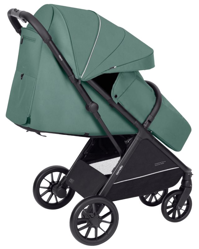 Прогулянкова коляска Carrello Nero Pear Green