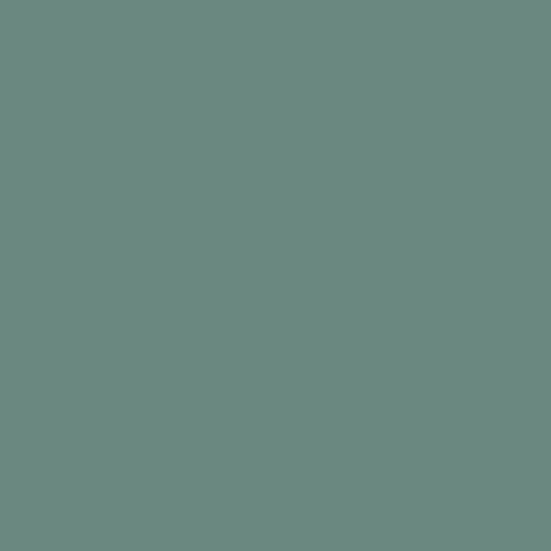 Прогулянкова коляска Carrello Nero Pear Green