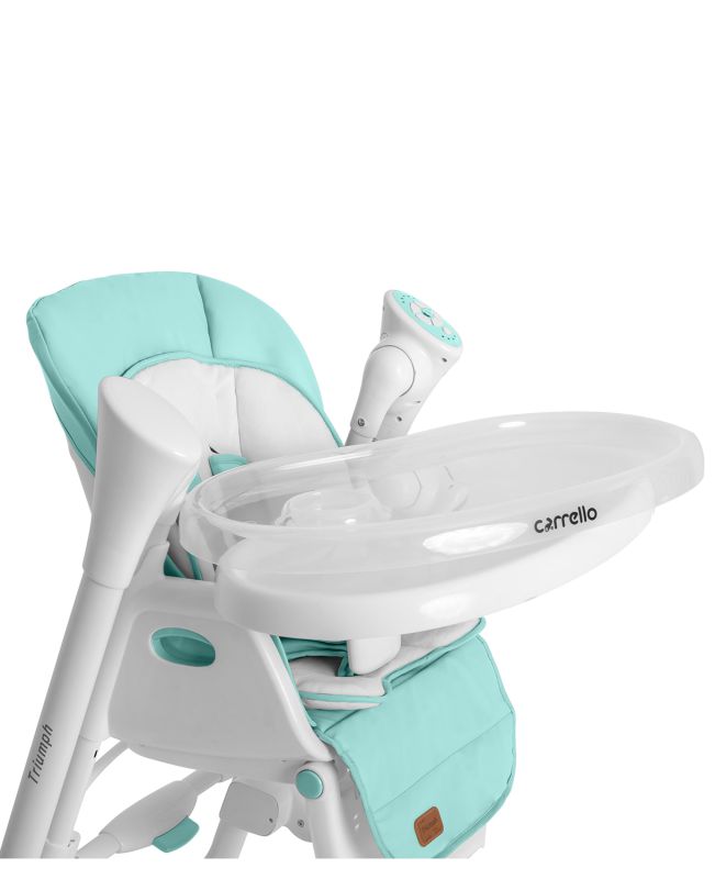 Стільчик-гойдалка CARRELLO Triumph CRL-10302 Turquoise / Mint Green /1/ MOQ
