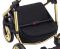 Коляска 2 в 1 Adamex Barcelona  Polar (Gold) BR608
