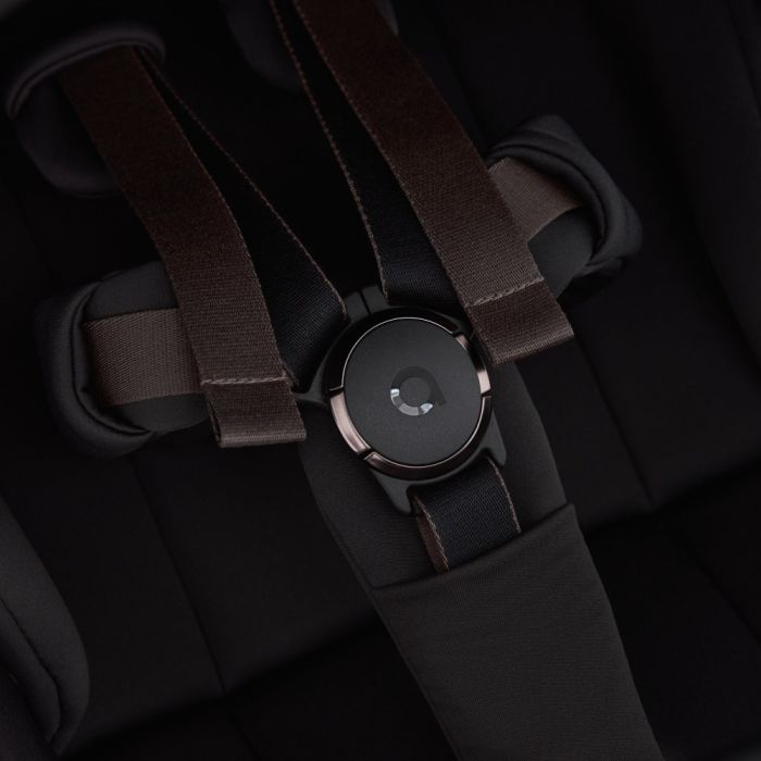 Коляска 2 в 1 Anex Flo Lungo