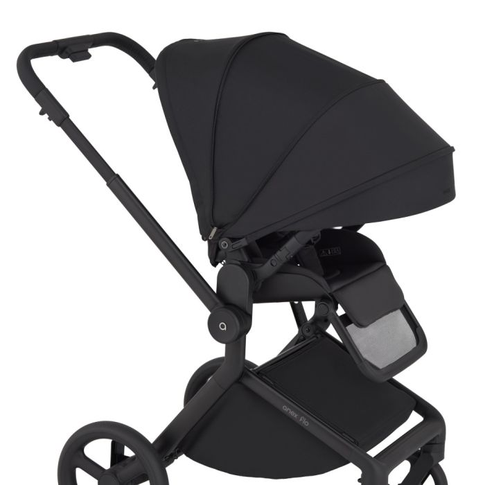 Коляска 2 в 1 Anex Flo Lungo