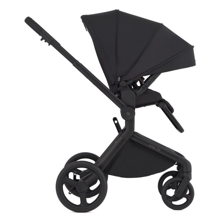 Коляска 2 в 1 Anex Flo Lungo