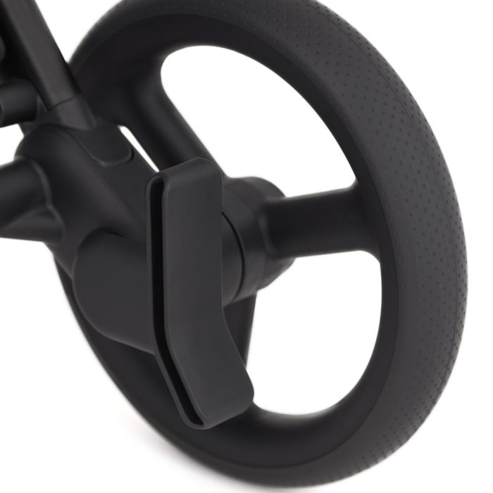 Коляска 2 в 1 Anex Flo Lungo