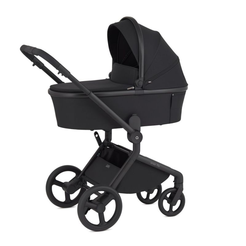 Коляска 2 в 1 Anex Flo Lungo