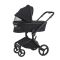 Коляска 2 в 1 Anex Flo Lungo