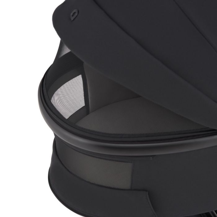 Коляска 2 в 1 Anex Flo Lungo