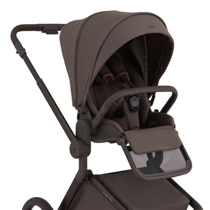 Коляска 2 в 1 Anex Flo Browny