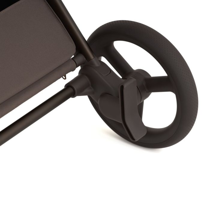 Коляска 2 в 1 Anex Flo Browny