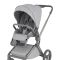Коляска 2 в 1 Anex Flo Frossy