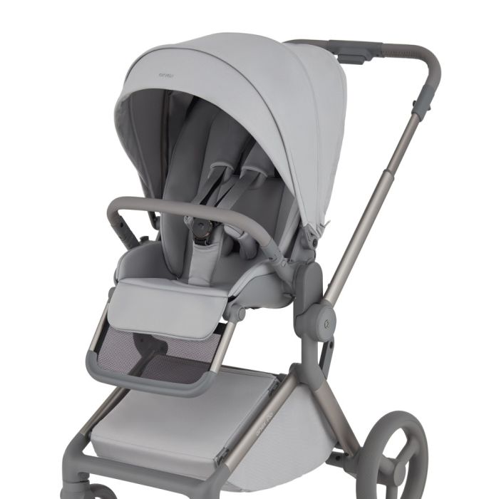 Коляска 2 в 1 Anex Flo Frossy