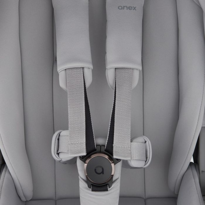 Коляска 2 в 1 Anex Flo Frossy