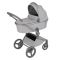 Коляска 2 в 1 Anex Flo Frossy