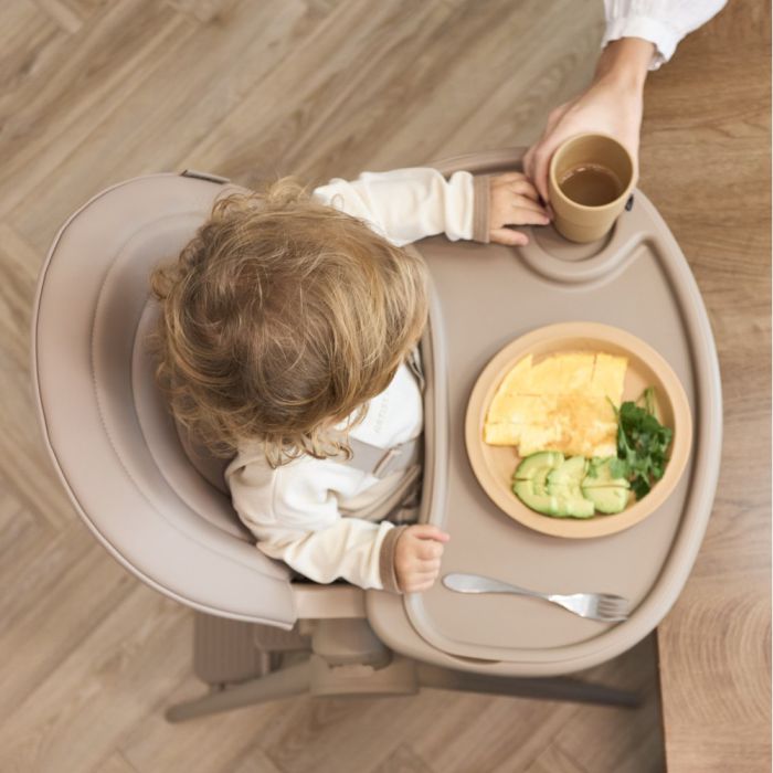 Стульчик для кормления Anex Ozy Fluff