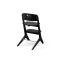 Стульчик для кормления Cybex Lemo Platinum 4в1 Black Wood