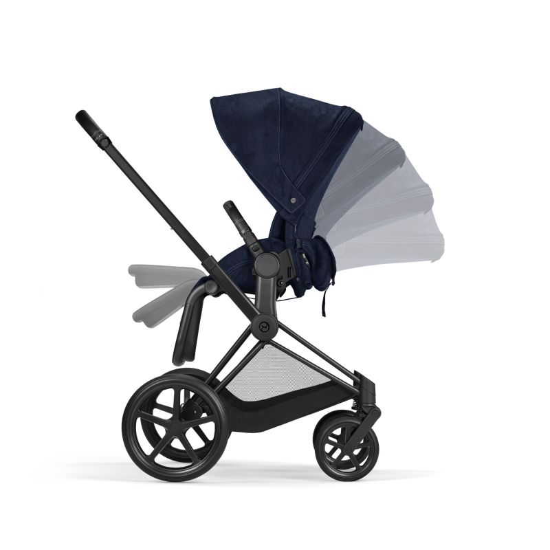 Комплект тканини Cybex Priam Rebellious Luxury з сумкою