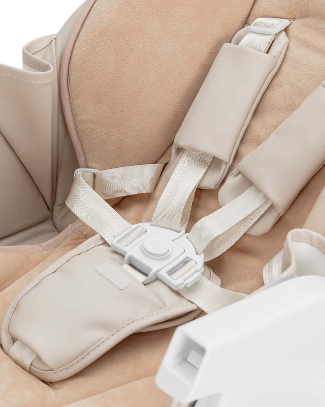 Cтульчик для кормления с функцией автоматического укачивания CARRELLO Alto CRL-10307 Chrome Grey