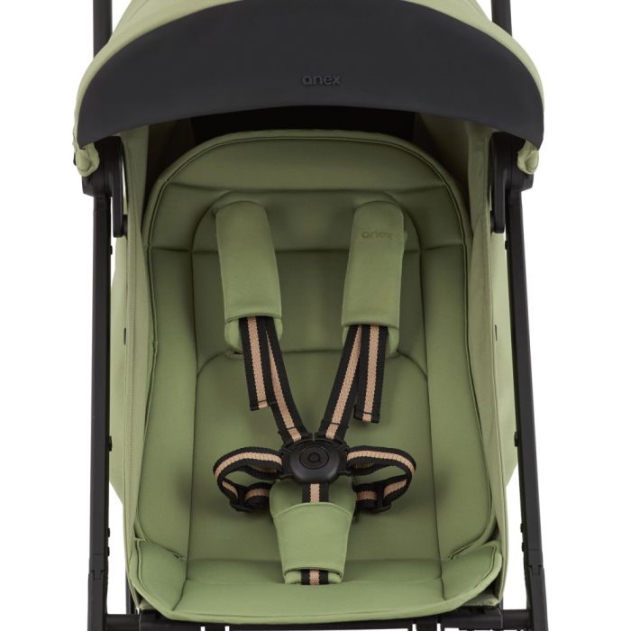 Прогулочная коляска Anex Air-X2 Vert (Ax2-03)