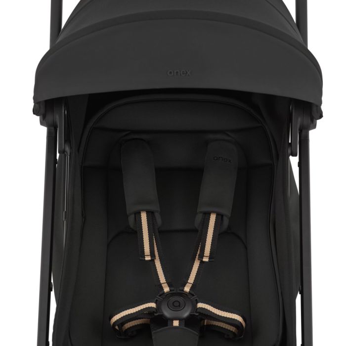 Прогулочная коляска Anex Air-X2 Nero (Ax2-01)