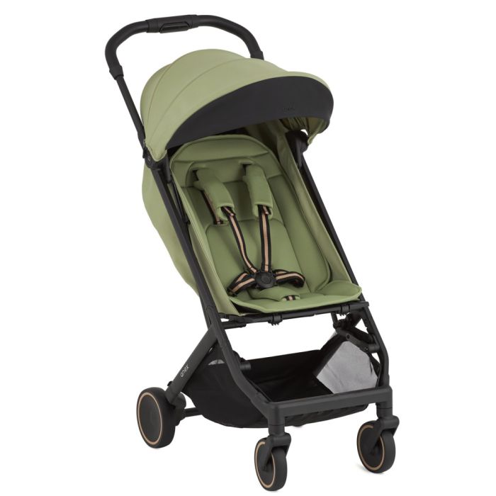 Прогулочная коляска Anex Air-X2 Vert (Ax2-03)