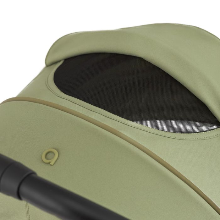 Прогулочная коляска Anex Air-X2 Vert (Ax2-03)