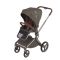 Коляска 2 в 1 Anex Flo Cesar Idrobo