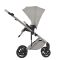 Коляска 2 в 1 Anex Eli Santal