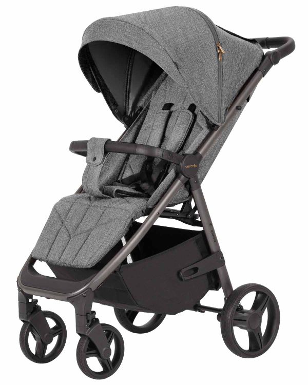 Коляска прогулочная CARRELLO Bravo CRL-8512PU Metal Grey