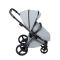 Коляска 2 в 1 Anex L/Type Frost (lt-10t)