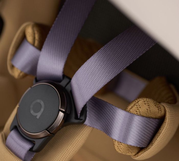 Коляска 2 в 1 Anex iQ Hugg Brandon Coleman Limited Edition