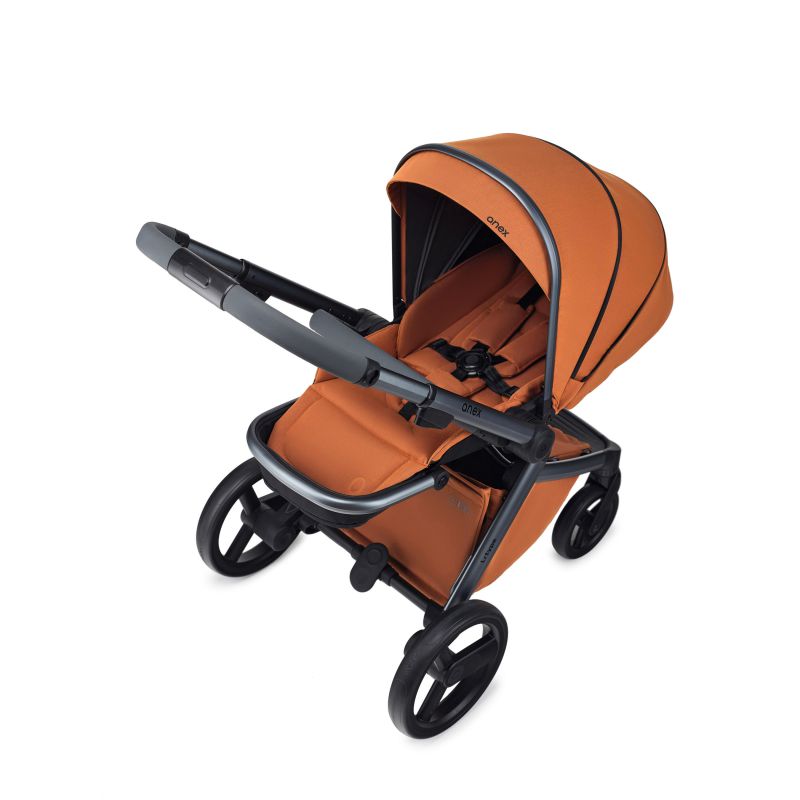 Коляска 2 в 1 Anex L/Type Ginger (t-14t)