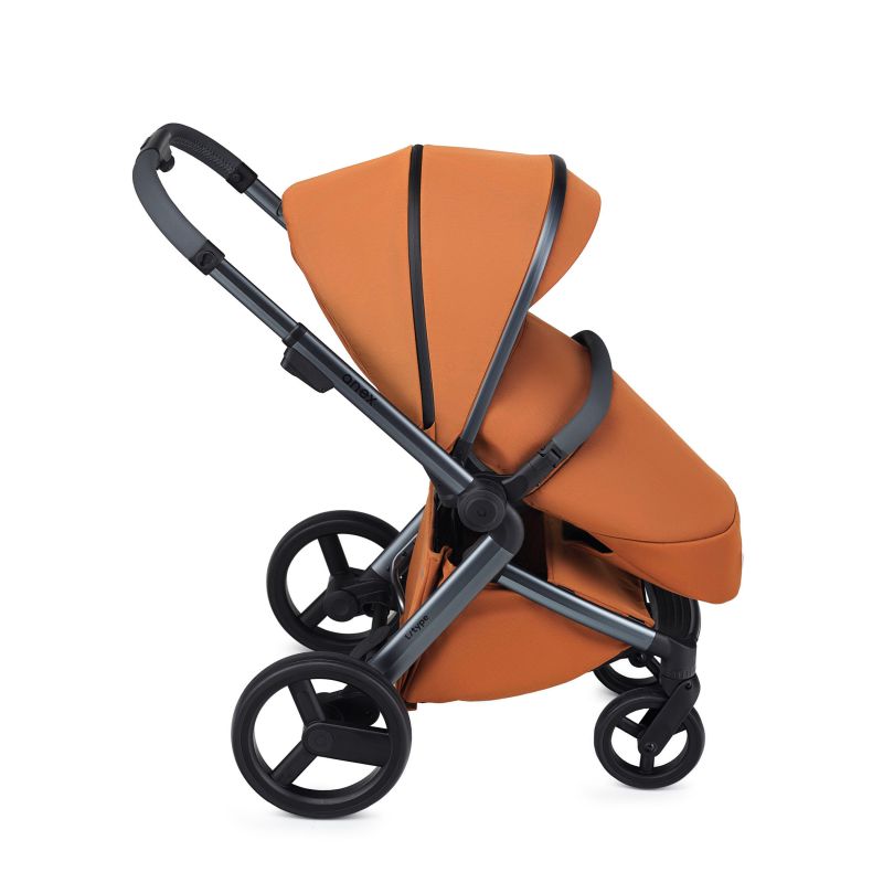 Коляска 2 в 1 Anex L/Type Ginger (t-14t)