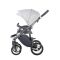 Коляска 2 в 1 Bebetto Holland W33