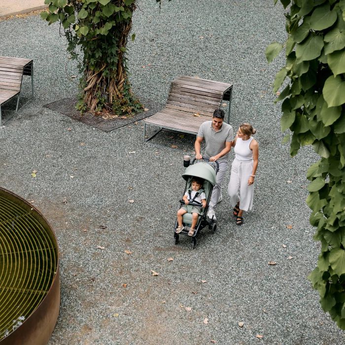 Прогулочная коляска ABC Design Ping 3 Travel Pine