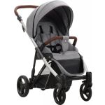 Прогулянкова коляска Bebetto Rainbow 01 G