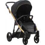 Прогулянкова коляска Bebetto Rainbow Gold 01