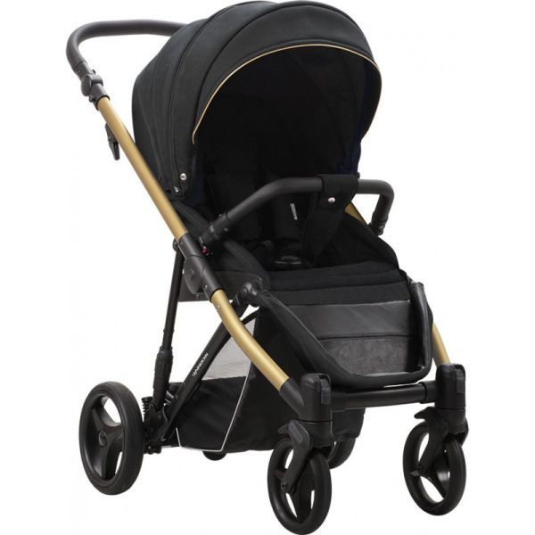 Прогулочная коляска Bebetto Rainbow Gold 01