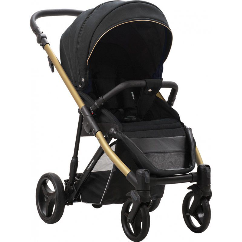 Прогулочная коляска Bebetto Rainbow Gold 01