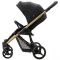 Прогулочная коляска Bebetto Rainbow Gold 01