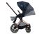 Коляска 2 в 1 Cybex Priam (Jewels of Nature)