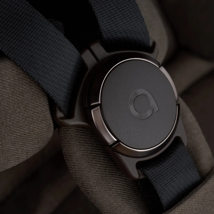 Коляска 2 в 1 Anex iQ Bruna