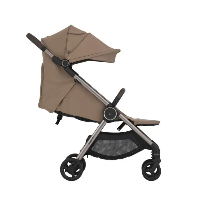 Коляска 2 в 1 Anex iQ Buff