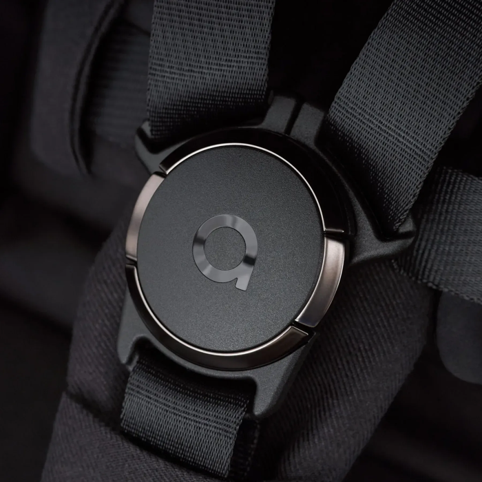 Коляска 2 в 1 Anex iQ Darke