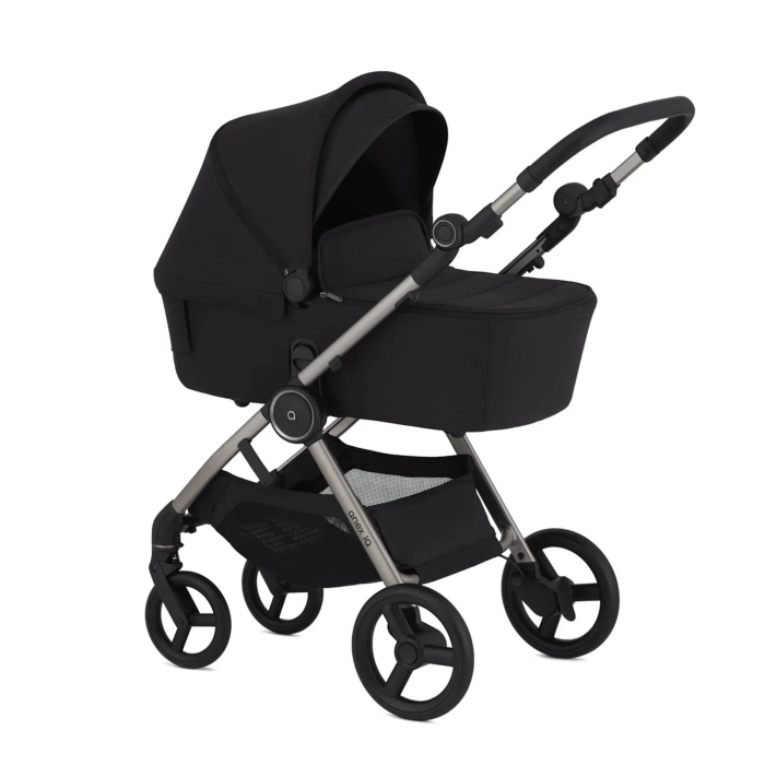 Коляска 2 в 1 Anex iQ Darke