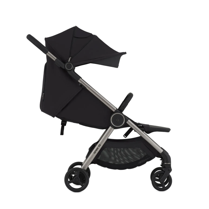 Коляска 2 в 1 Anex iQ Darke